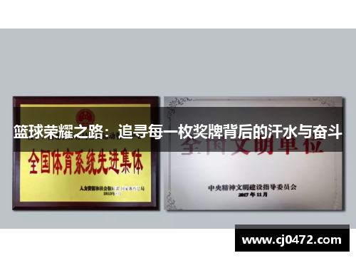 篮球荣耀之路：追寻每一枚奖牌背后的汗水与奋斗