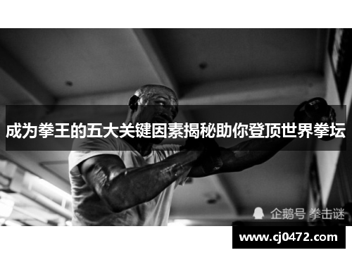 成为拳王的五大关键因素揭秘助你登顶世界拳坛