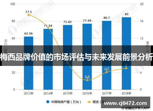 梅西品牌价值的市场评估与未来发展前景分析